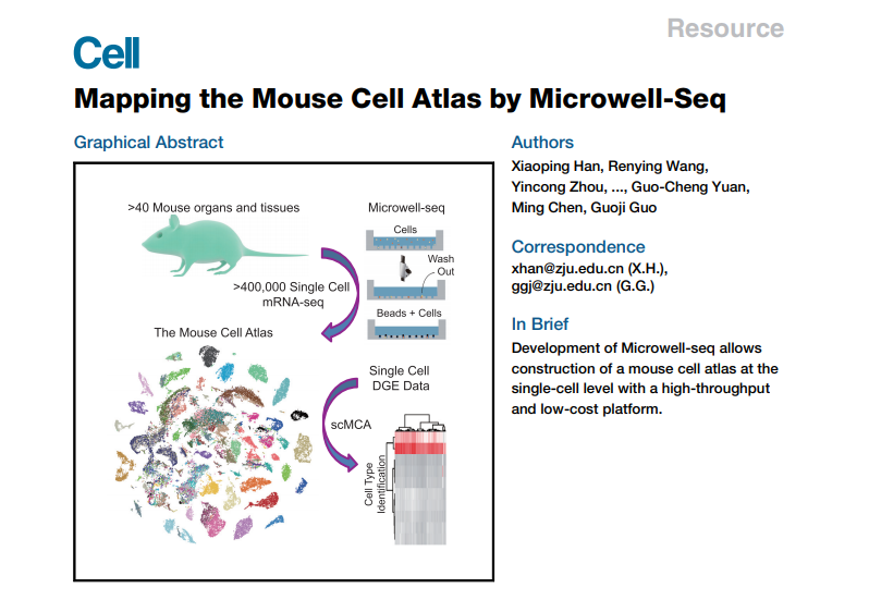 Mapping the Mouse Cell Atlas by Microwell-seq