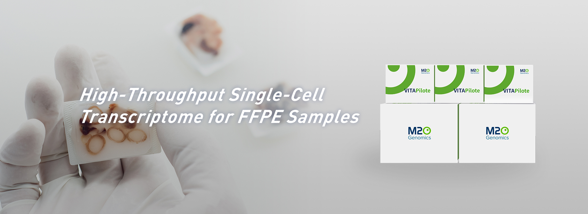 Single-Cell Transcriptome for FFPE Samples
