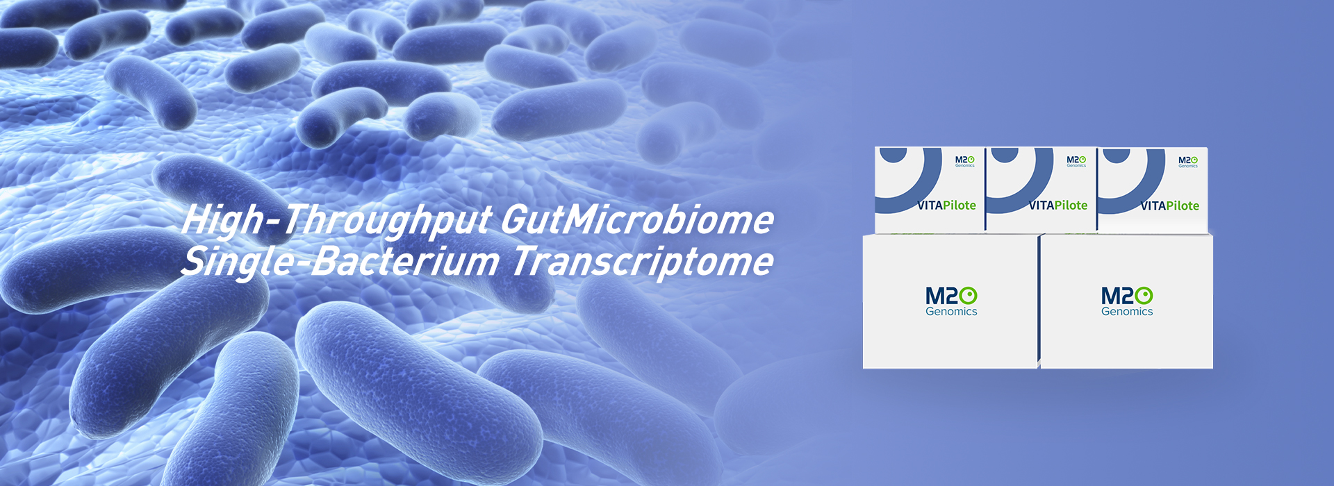 Single-Cell Transcriptome for Gut Microbiota Samples