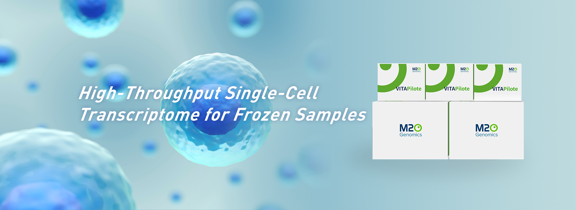 Single-Cell Transcriptome for Frozen Samples