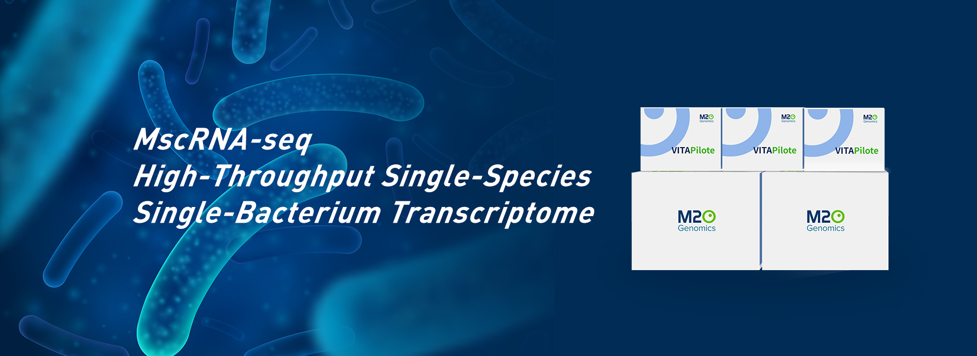 Single-Cell Transcriptome for Cultured Bacterial Samples