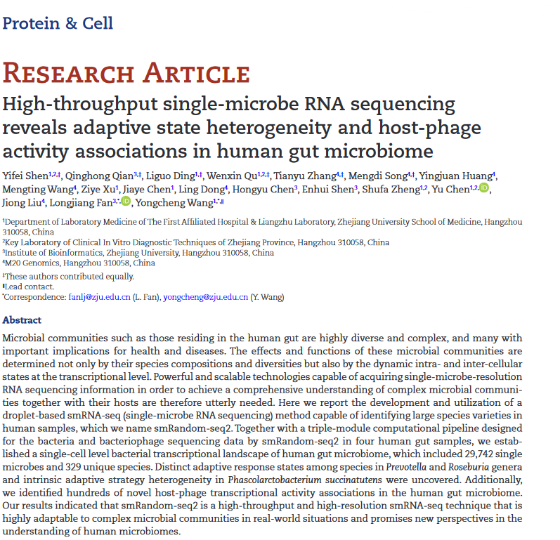 High-Throughput Single-Microbe RNA Sequencing Reveals Adaptive State Heterogeneity and Host-Phage Activity Associations in Human Gut Microbiome