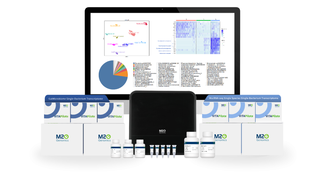 Optimizing Prokaryotic Sample Preparation: Practical Tips for VITA Single-Microbe Transcriptome