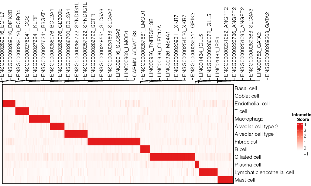 VITAseer Unveils a Comprehensive Upgrade with Advanced Eukaryotic Single-Cell Analysis