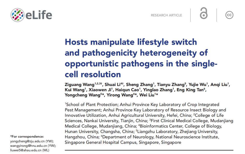 Hosts mManipulate Lifestyle Switch and Pathogenicity Heterogeneity of Opportunistic Pathogens in the Single-cell Resolution