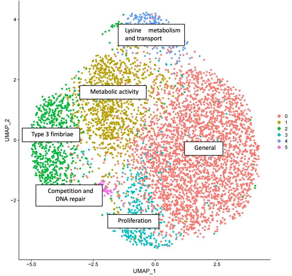 Launch of the KAP Initiative by Leveraging VITA Single-cell Transcriptome Platform: Pioneering Research into Multidrug-Resistant and Hypervirulent <em>Klebsiella pneumoniae</em>